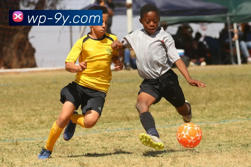 多媒体互动体验