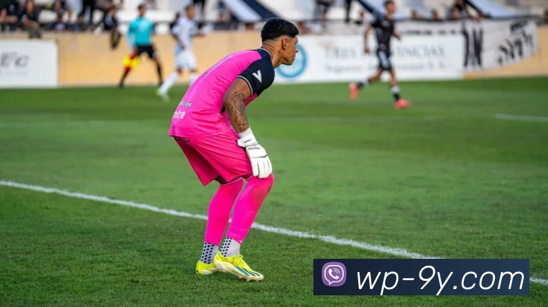 九游官网APP 体育赛事宣传图