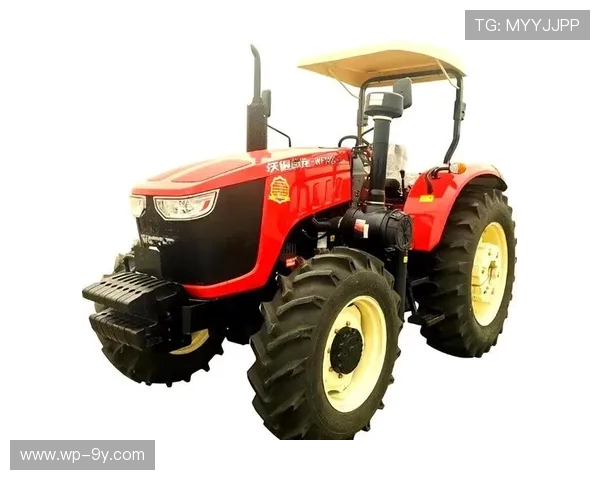 全面呈现足球运动员李义成长历程与职业赛场风采的深度全景解析篇